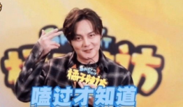 吃瓜爆料博君一肖,瓜田李下，揭秘娱乐圈的甜蜜秘密